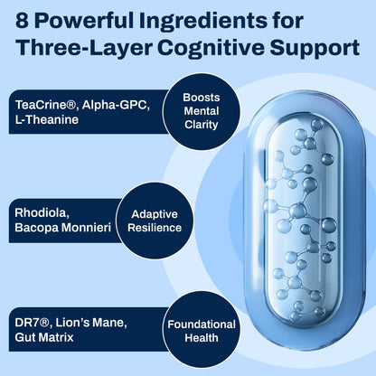 Brain Supplement for Memory and Focus with Probiotics, Advanced 2 in 1 Nootropic Brain Support for Mental Clarity, Caffeine Free Doctor Formulated Supplement, 60 Capsules - Maple Wellness Supplements