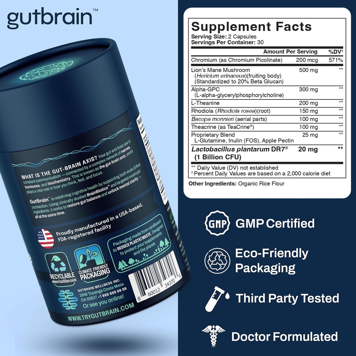 Brain Supplement for Memory and Focus with Probiotics, Advanced 2 in 1 Nootropic Brain Support for Mental Clarity, Caffeine Free Doctor Formulated Supplement, 60 Capsules - Maple Wellness Supplements