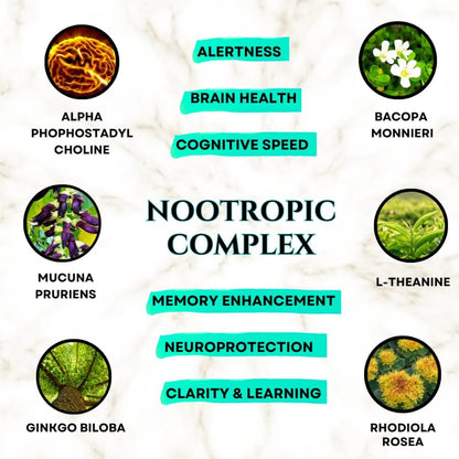 Brain Supplements for Memory & Focus - Nootropic Brain Health - Cognitive Performance, Clarity, Energy, Mental Vigor, Shilajit - Alpha Choline, Lion's Mane, Bacopa, 18 Premium Ingredients - Maple Wellness Supplements