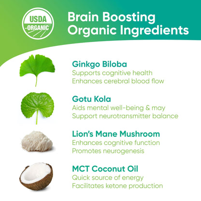 Brain Tea Focus & Memory - Brain Tea Organic Certified 4-in-1 Nootropic Herbal Supplement with Ginkgo Biloba, Gotu Kola, Lion’s Mane Mushroom, MCT Caffeine-Free for Mental Clarity (30 Sachets) - Maple Wellness Supplements