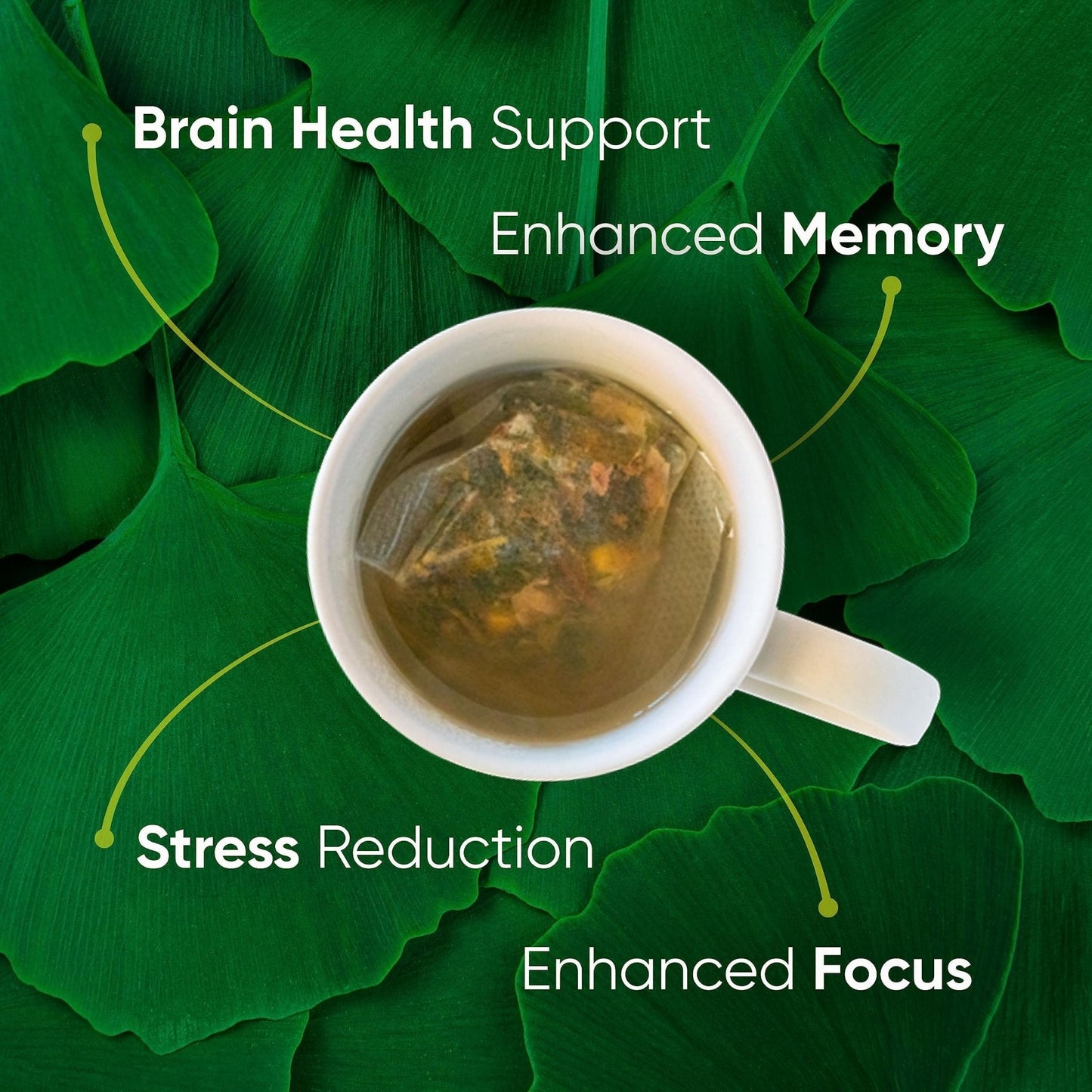 Brain Tea Focus & Memory - Brain Tea Organic Certified 4-in-1 Nootropic Herbal Supplement with Ginkgo Biloba, Gotu Kola, Lion’s Mane Mushroom, MCT Caffeine-Free for Mental Clarity (30 Sachets) - Maple Wellness Supplements