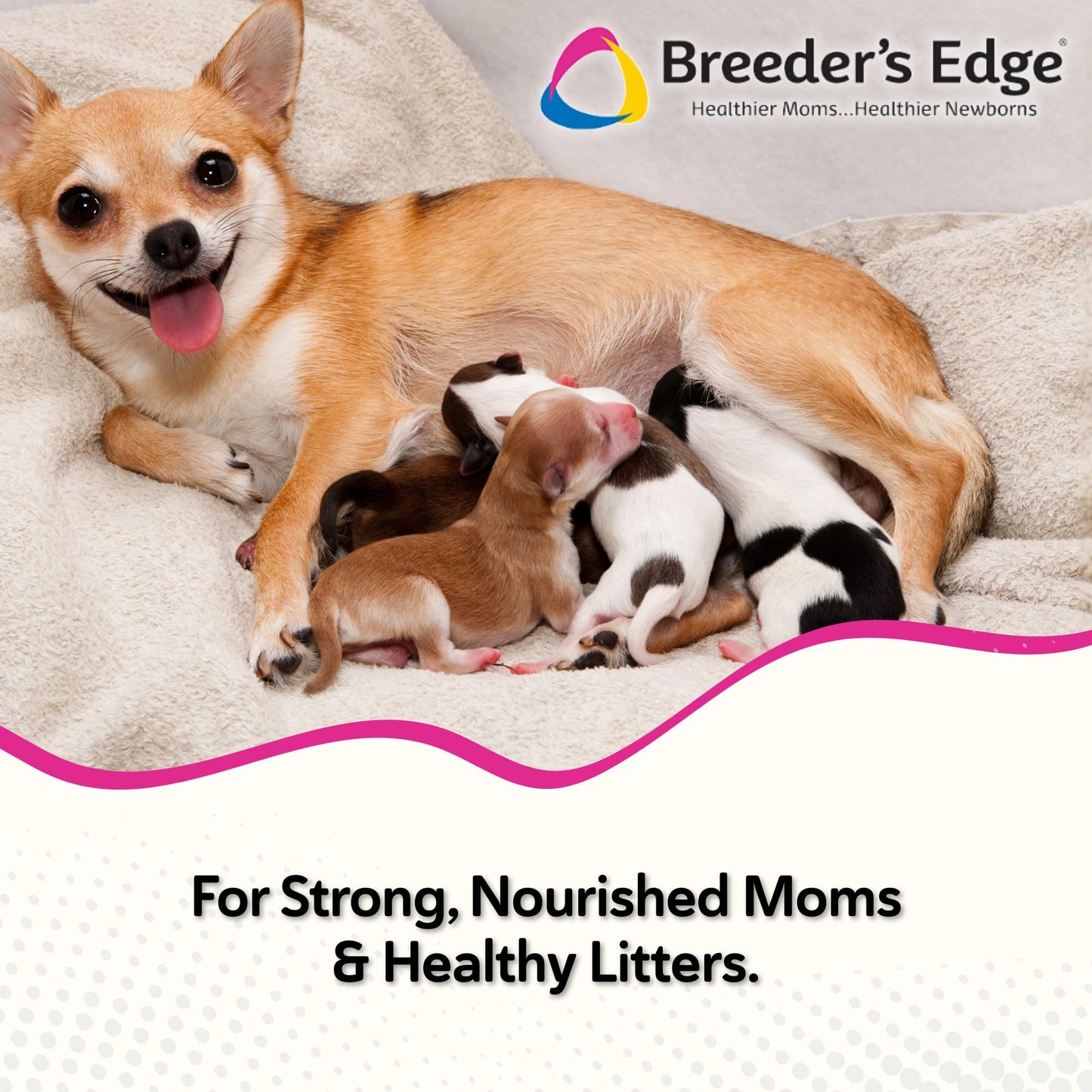 Breeder's Edge Oxy Momma Soft Chews, Postnatal Vitamin Supplement for Lactating Dogs and Cats, Supports Recovery, Hormones, and Next Pregnancy - for Small Dogs & Cats, 40ct Soft Chews - Maple Wellness Supplements