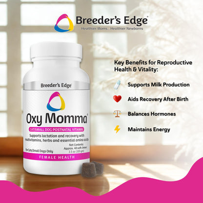 Breeder's Edge Oxy Momma Soft Chews, Postnatal Vitamin Supplement for Lactating Dogs and Cats, Supports Recovery, Hormones, and Next Pregnancy - for Small Dogs & Cats, 40ct Soft Chews - Maple Wellness Supplements