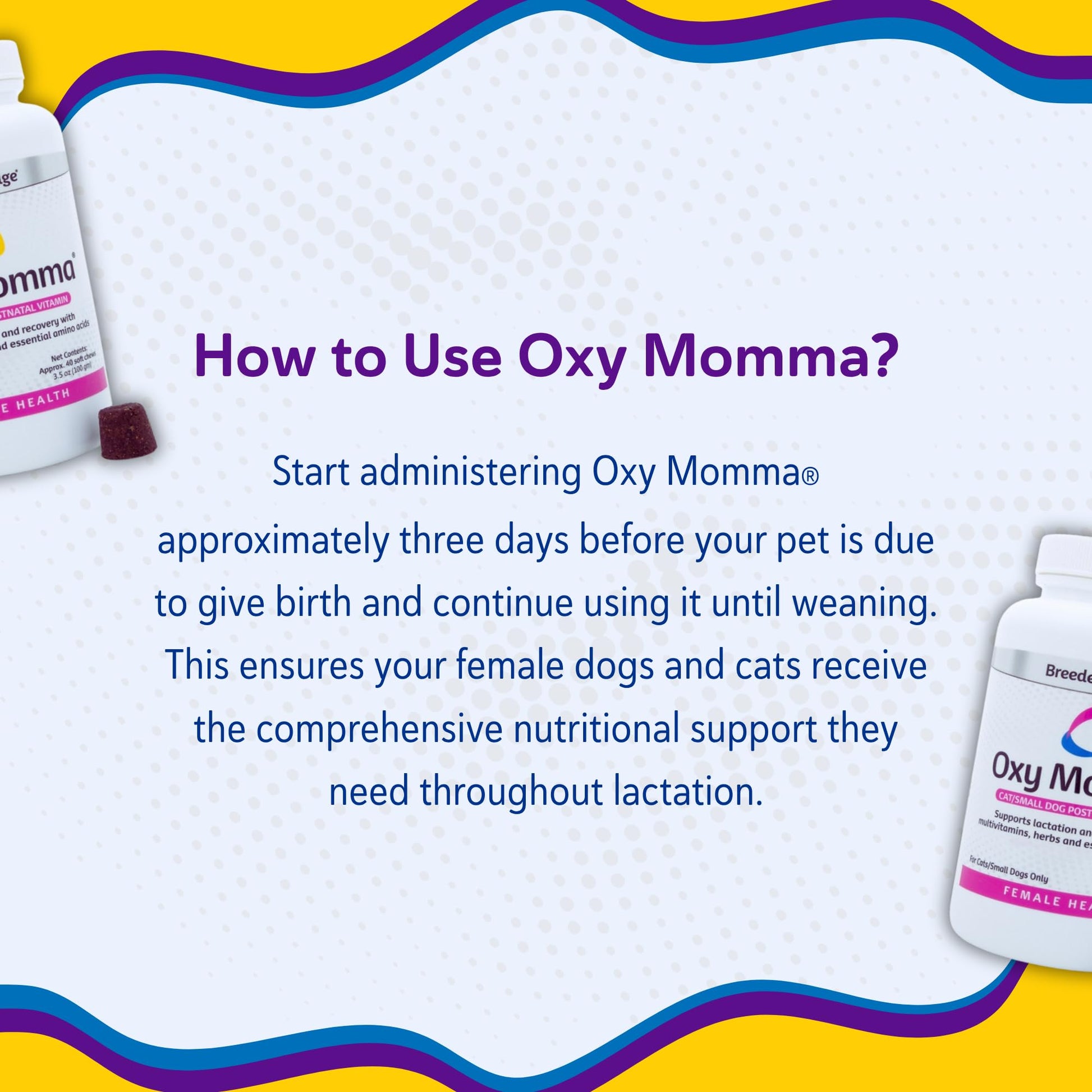 Breeder's Edge Oxy Momma Soft Chews, Postnatal Vitamin Supplement for Lactating Dogs and Cats, Supports Recovery, Hormones, and Next Pregnancy - for Small Dogs & Cats, 40ct Soft Chews - Maple Wellness Supplements