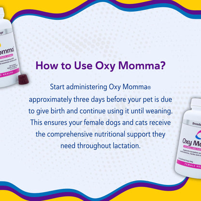 Breeder's Edge Oxy Momma Soft Chews, Postnatal Vitamin Supplement for Lactating Dogs and Cats, Supports Recovery, Hormones, and Next Pregnancy - for Small Dogs & Cats, 40ct Soft Chews - Maple Wellness Supplements