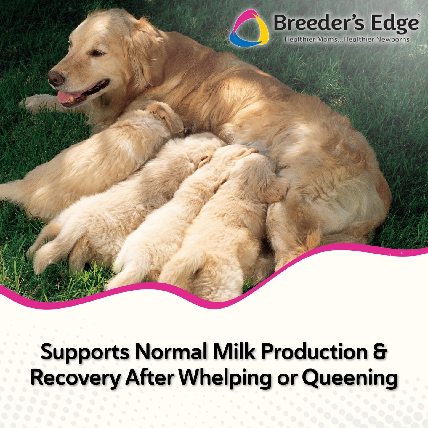 Breeder's Edge Oxy Momma Soft Chews, Postnatal Vitamin Supplement for Lactating Dogs and Cats, Supports Recovery, Hormones, and Next Pregnancy - for Small Dogs & Cats, 40ct Soft Chews - Maple Wellness Supplements
