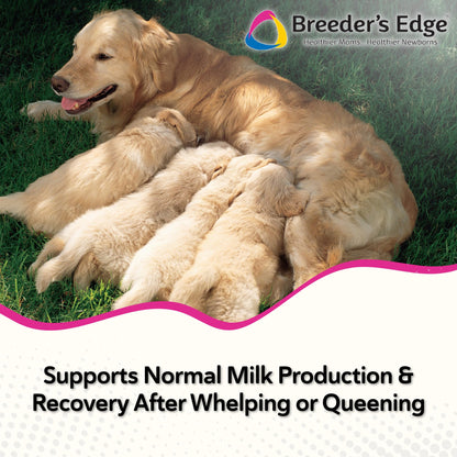 Breeder's Edge Oxy Momma Soft Chews, Postnatal Vitamin Supplement for Lactating Dogs and Cats, Supports Recovery, Hormones, and Next Pregnancy - for Small Dogs & Cats, 40ct Soft Chews - Maple Wellness Supplements