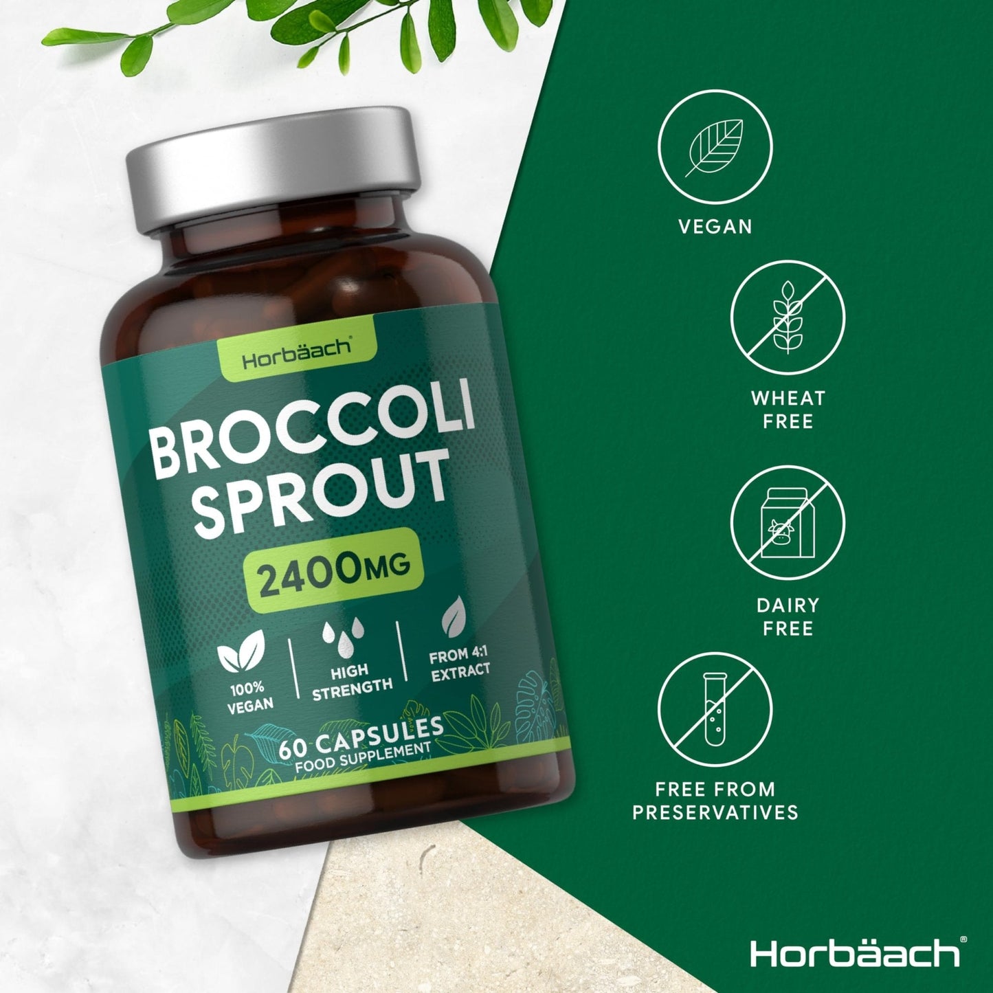 Broccoli Sprout Extract | Activated Sulforaphane Supplement | 2400mg Capsules | 60 Ct - Maple Wellness Supplements