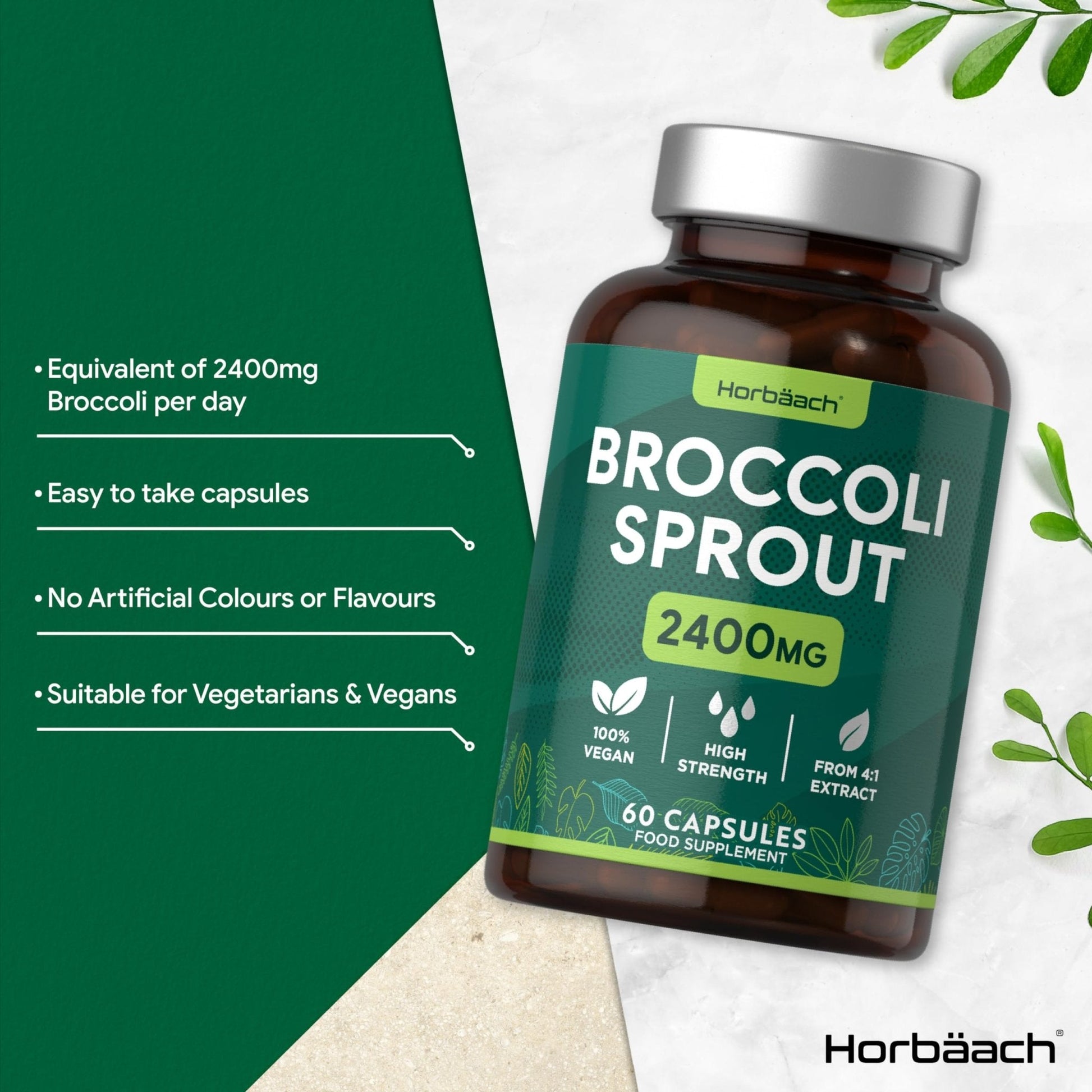 Broccoli Sprout Extract | Activated Sulforaphane Supplement | 2400mg Capsules | 60 Ct - Maple Wellness Supplements