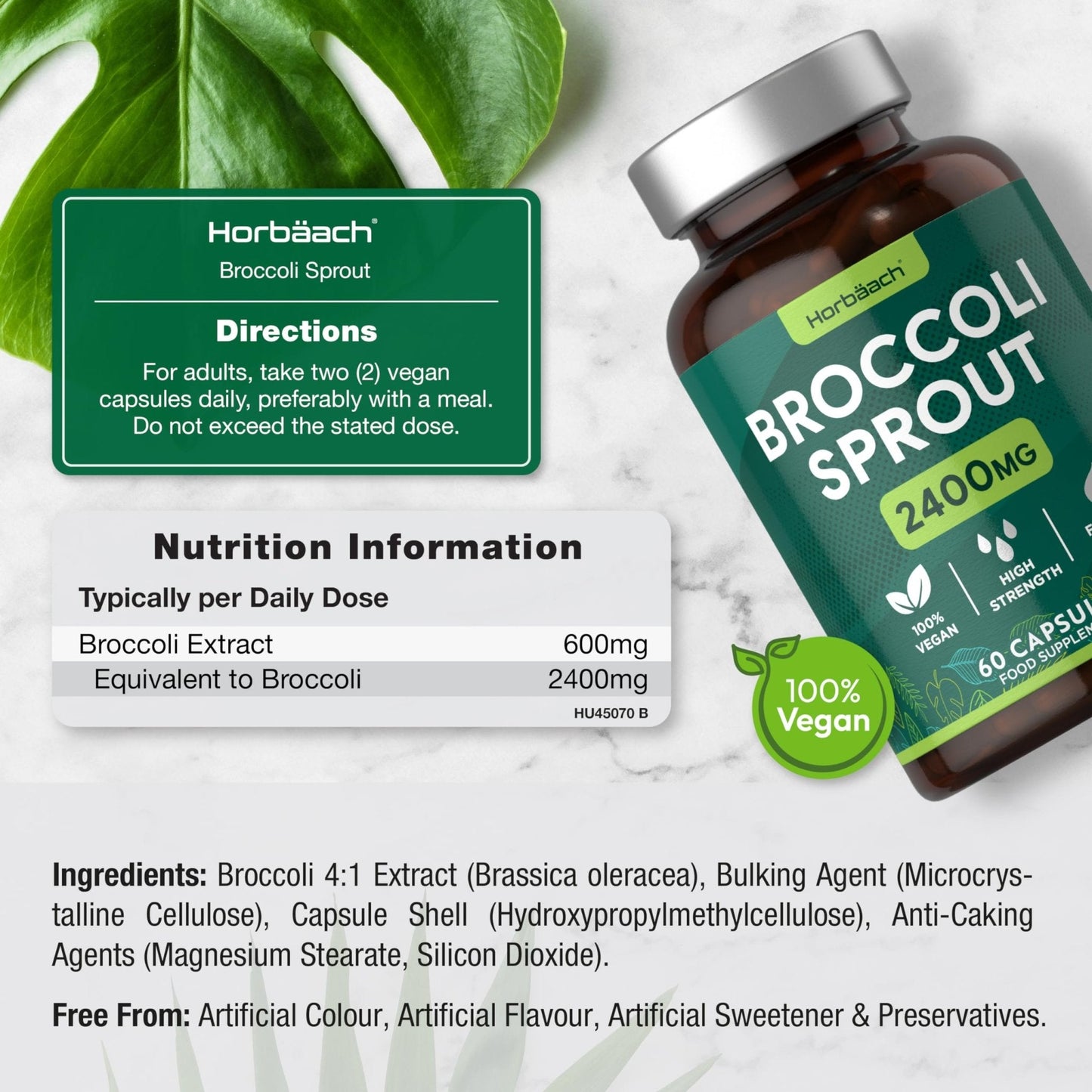 Broccoli Sprout Extract | Activated Sulforaphane Supplement | 2400mg Capsules | 60 Ct - Maple Wellness Supplements