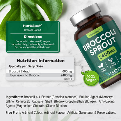 Broccoli Sprout Extract | Activated Sulforaphane Supplement | 2400mg Capsules | 60 Ct - Maple Wellness Supplements