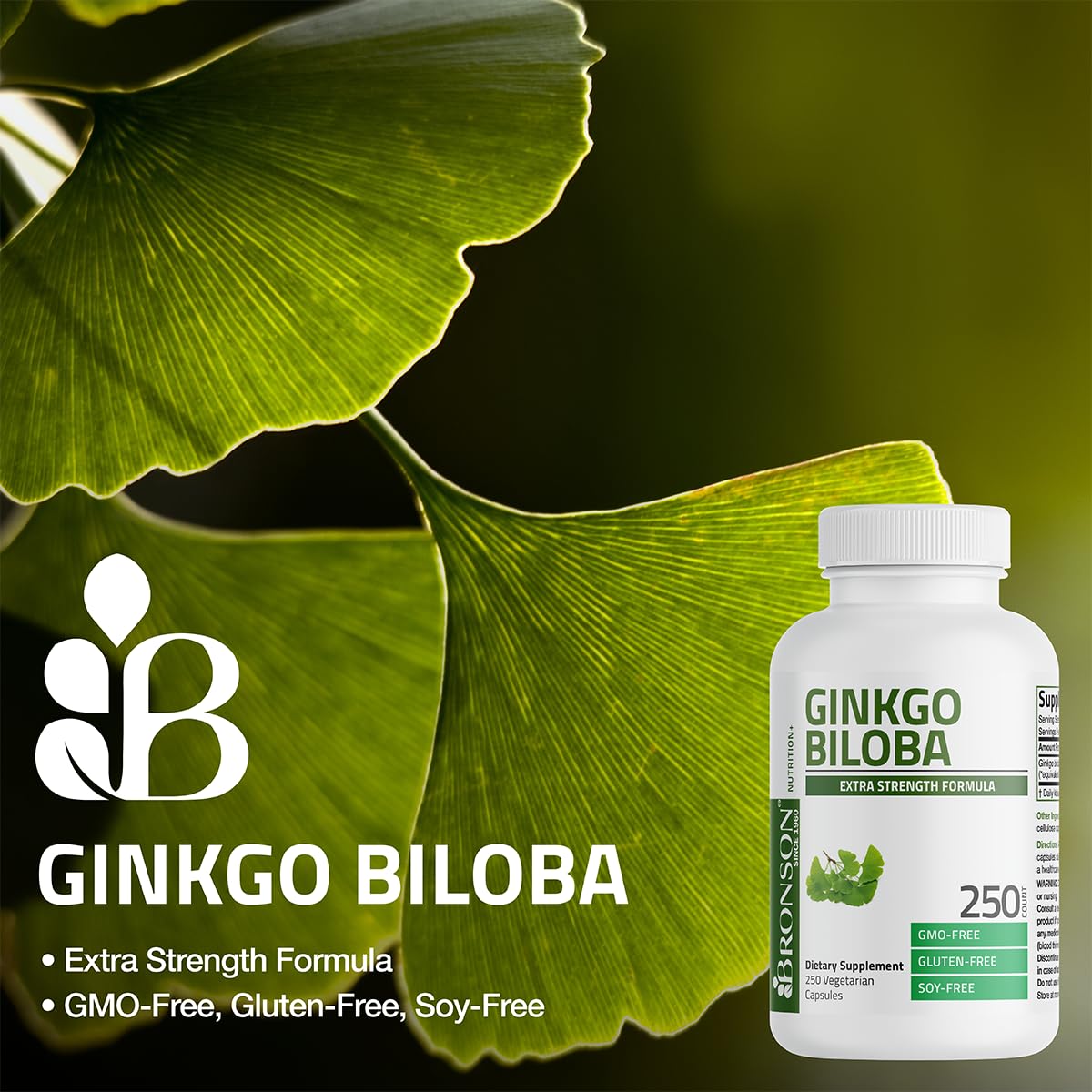 Bronson Ginkgo Biloba Extra Strength Supports Brain Function & Memory Support, 120 Vegetarian Capsules - Maple Wellness Supplements