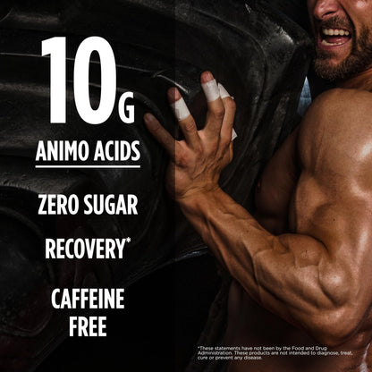 BSN Amino X Muscle Recovery & Endurance Powder, BCAAs, 10 Grams of Amino Acids, Keto Friendly, Caffeine-Free, Support Endurance, Zero Sugar, Fruit Punch, 30 servings, - Maple Wellness Supplements