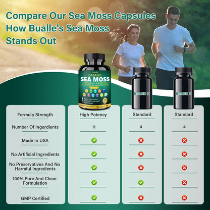 Bualle Irish Sea Moss Capsules – Organic Sea Moss, Black Seed Oil, Ashwagandha Supplements with Bladderwrack, Ginger & Burdock Root – Supports Daily Wellness, Skin & Energy – 150 Count (1 Pack) - Maple Wellness Supplements
