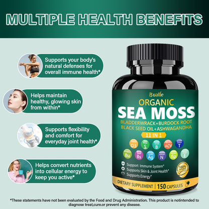 Bualle Irish Sea Moss Capsules – Organic Sea Moss, Black Seed Oil, Ashwagandha Supplements with Bladderwrack, Ginger & Burdock Root – Supports Daily Wellness, Skin & Energy – 150 Count (1 Pack) - Maple Wellness Supplements