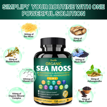 Bualle Irish Sea Moss Capsules – Organic Sea Moss, Black Seed Oil, Ashwagandha Supplements with Bladderwrack, Ginger & Burdock Root – Supports Daily Wellness, Skin & Energy – 150 Count (1 Pack) - Maple Wellness Supplements