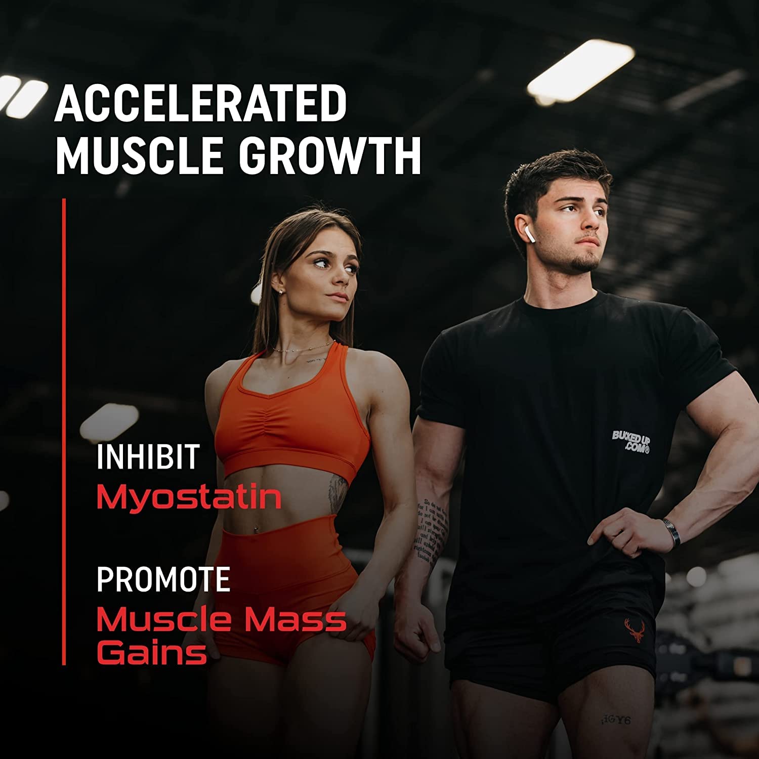 Bucked Up Six Point Creatine™ Six Types of Creatine - for Men and Women - Maple Wellness Supplements