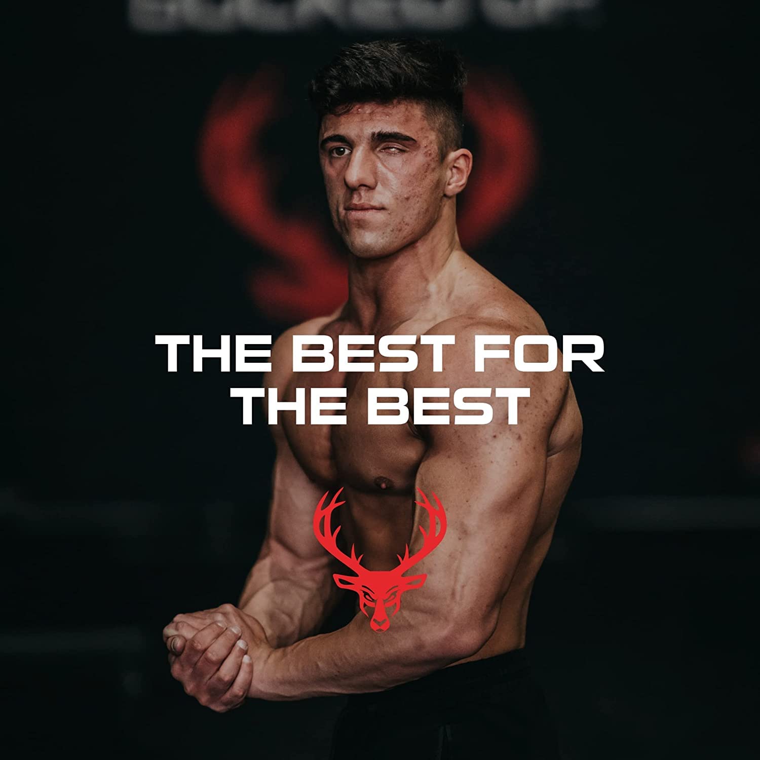 Bucked Up Six Point Creatine™ Six Types of Creatine - for Men and Women - Maple Wellness Supplements