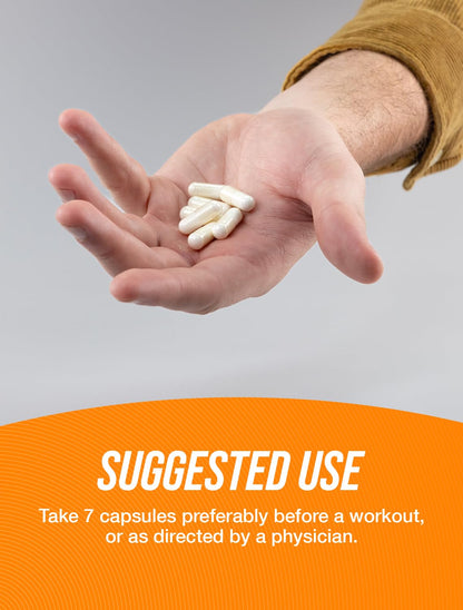 BULKSUPPLEMENTS.COM Creatine Monohydrate Capsules - Micronized Creatine Monohyd - Maple Wellness Supplements