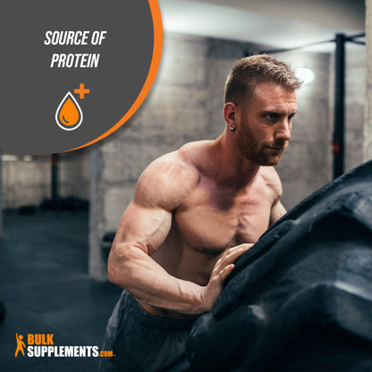 BULKSUPPLEMENTS.COM Grass Fed Whey Protein Powder - Pure Protein Powder - Maple Wellness Supplements