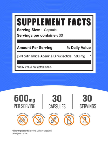 BulkSupplements.com NAD Capsules - Nicotinamide Adenine Dinucleotide, NAD Supplement 500mg - for Energy Support, Pure & Gluten Free, 1 Capsule per Serving, 30 Capsules (Pack of 1) - Maple Wellness Supplements