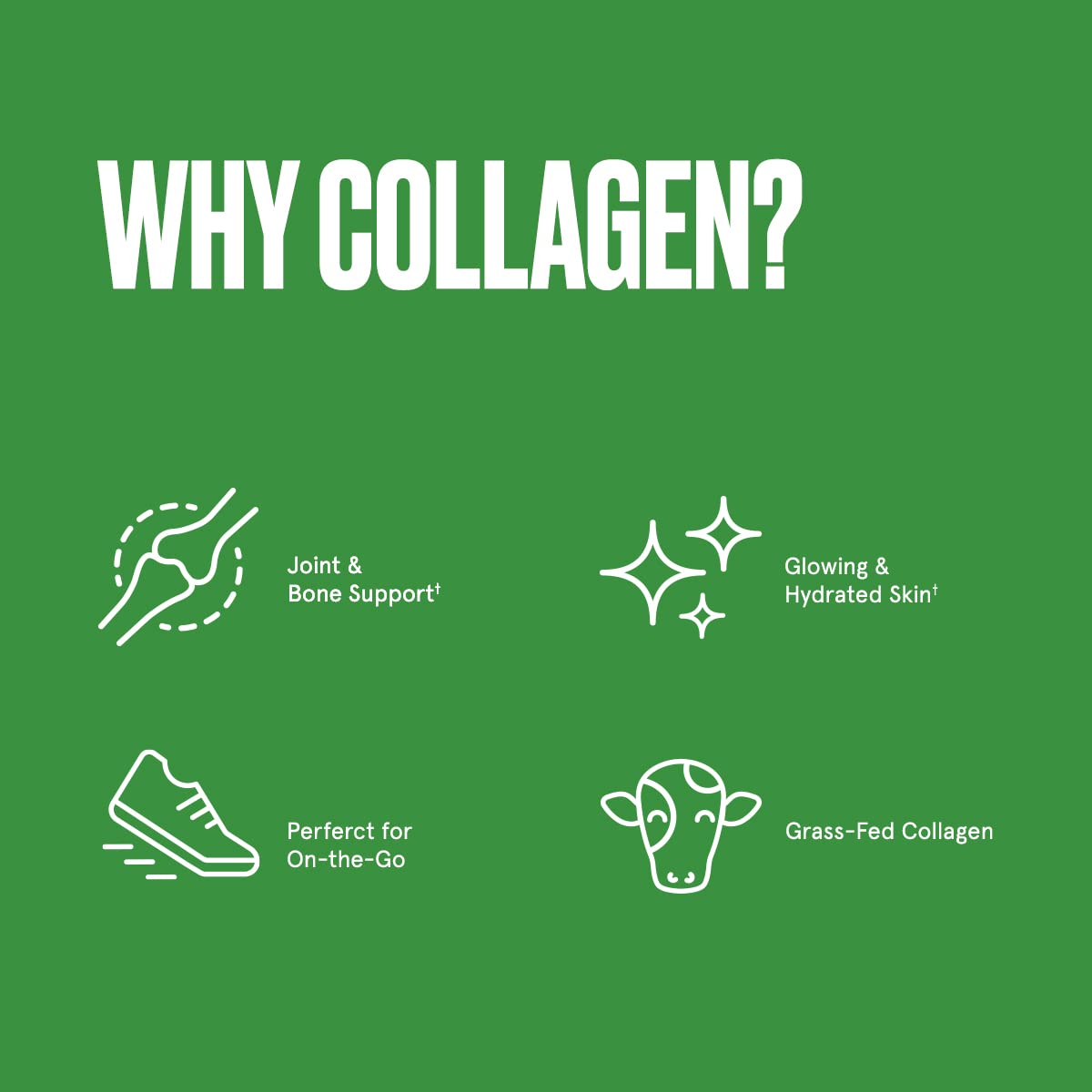 Bulletproof Unflavored Collagen Peptides Powder Packets, Pack of 15, Grass-Fed Collagen - Maple Wellness Supplements