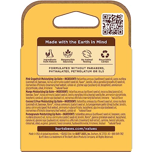 Burt's Bees 100% Natural Moisturizing Lip Balm (Superfruit) - Maple Wellness Supplements