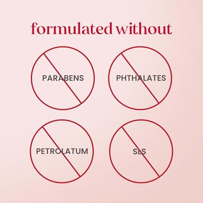 Burt’s Bees Tinted Boosted Balm, Misty Mauve, Hydrating Tinted Lip Balm with Vitamin C, E, and F Core, 24 Hour Lip Moisturizer - Maple Wellness Supplements