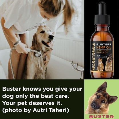 Busters Hip and Joint Hemp Oil Formula enriched with Glucosamine, Pain Relief for Dogs and Pets, Arthritis, and Advanced Mobility Support - Maple Wellness Supplements
