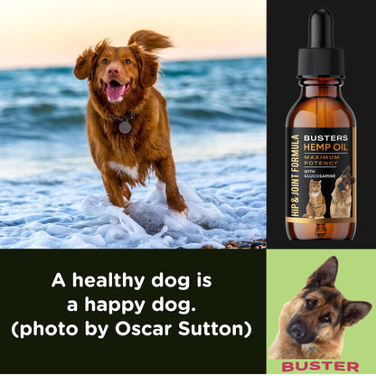 Busters Hip and Joint Hemp Oil Formula enriched with Glucosamine, Pain Relief for Dogs and Pets, Arthritis, and Advanced Mobility Support - Maple Wellness Supplements