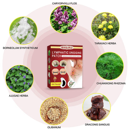 BXQJRJ 24Pcs/Box Herbal Lymph Nodes Patch,Lymphatic Drainage Patch/Patches,Herbal Lymphatic Drainage Care Patch,Neck Lymph Nodes Patch, Lymphatic Massage for Men and Women - Maple Wellness Supplements