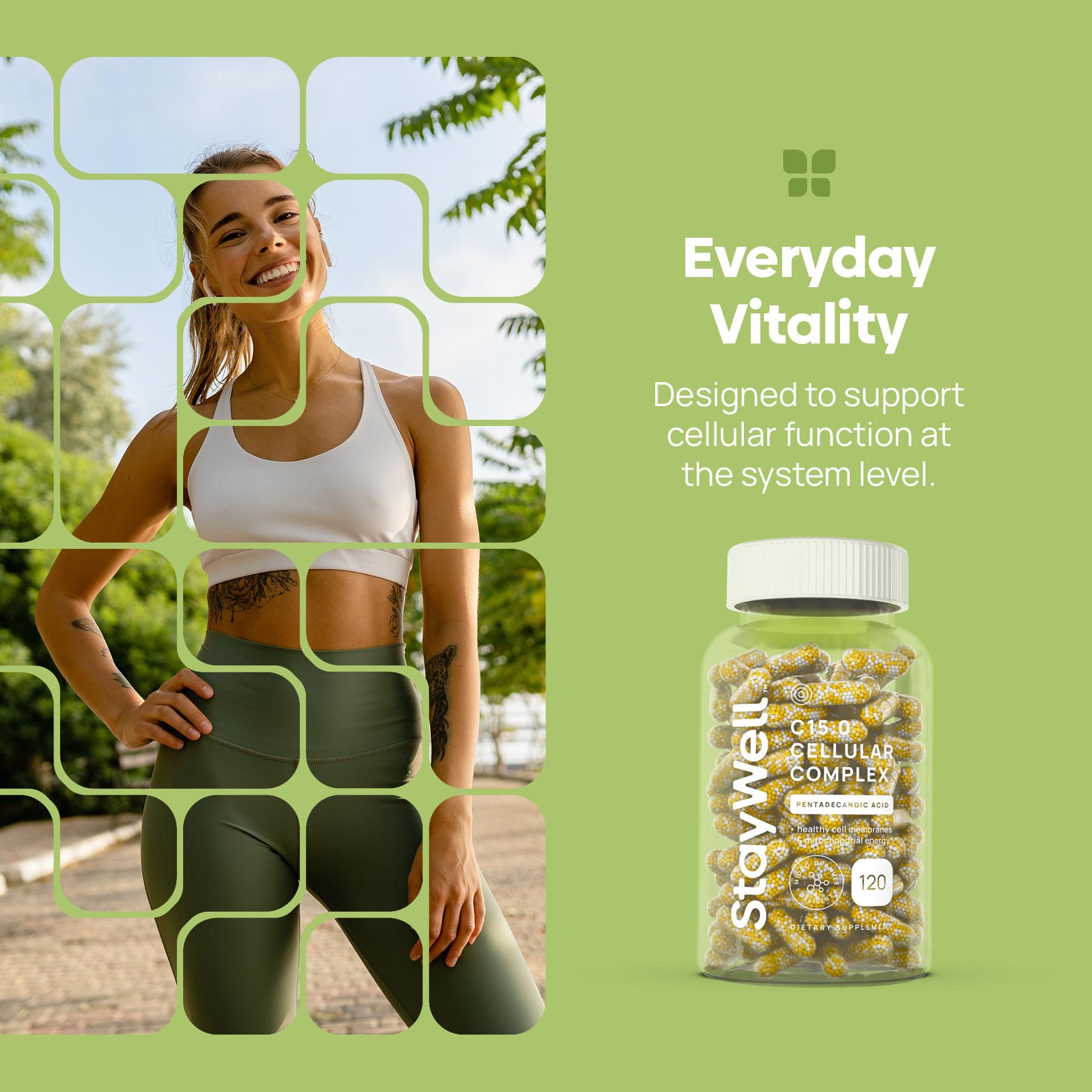 C15:0 Pentadecanoic Acid Supplement | Longevity, Cellular & Membrane Support, Micro-Granule Enhanced Absorption, Phosphatidylcholine, L-Carnitine, - Maple Wellness Supplements