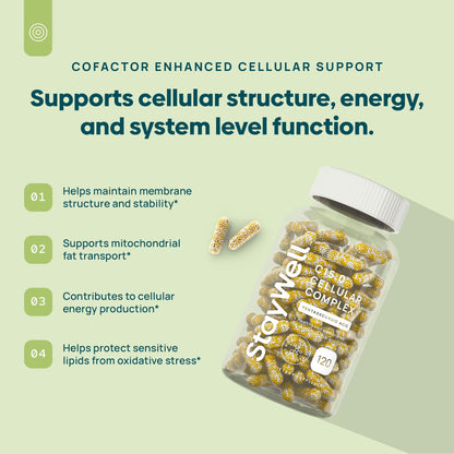C15:0 Pentadecanoic Acid Supplement | Longevity, Cellular & Membrane Support, Micro-Granule Enhanced Absorption, Phosphatidylcholine, L-Carnitine, - Maple Wellness Supplements