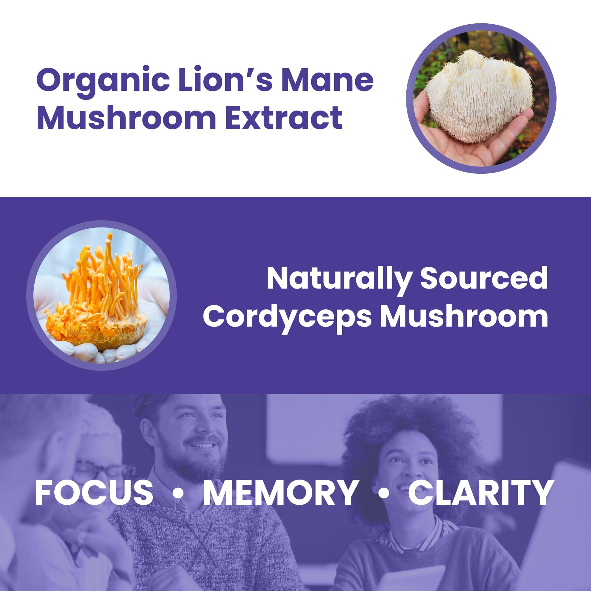 Calm by Wellness Lion’s Mane Gummies for Adults – Vegan Mushroom Gummies with Lion’s Mane & Cordyceps for Brain Support, Memory & Focus, Immune Boost – Citrus Flavor, 30 Count - Maple Wellness Supplements