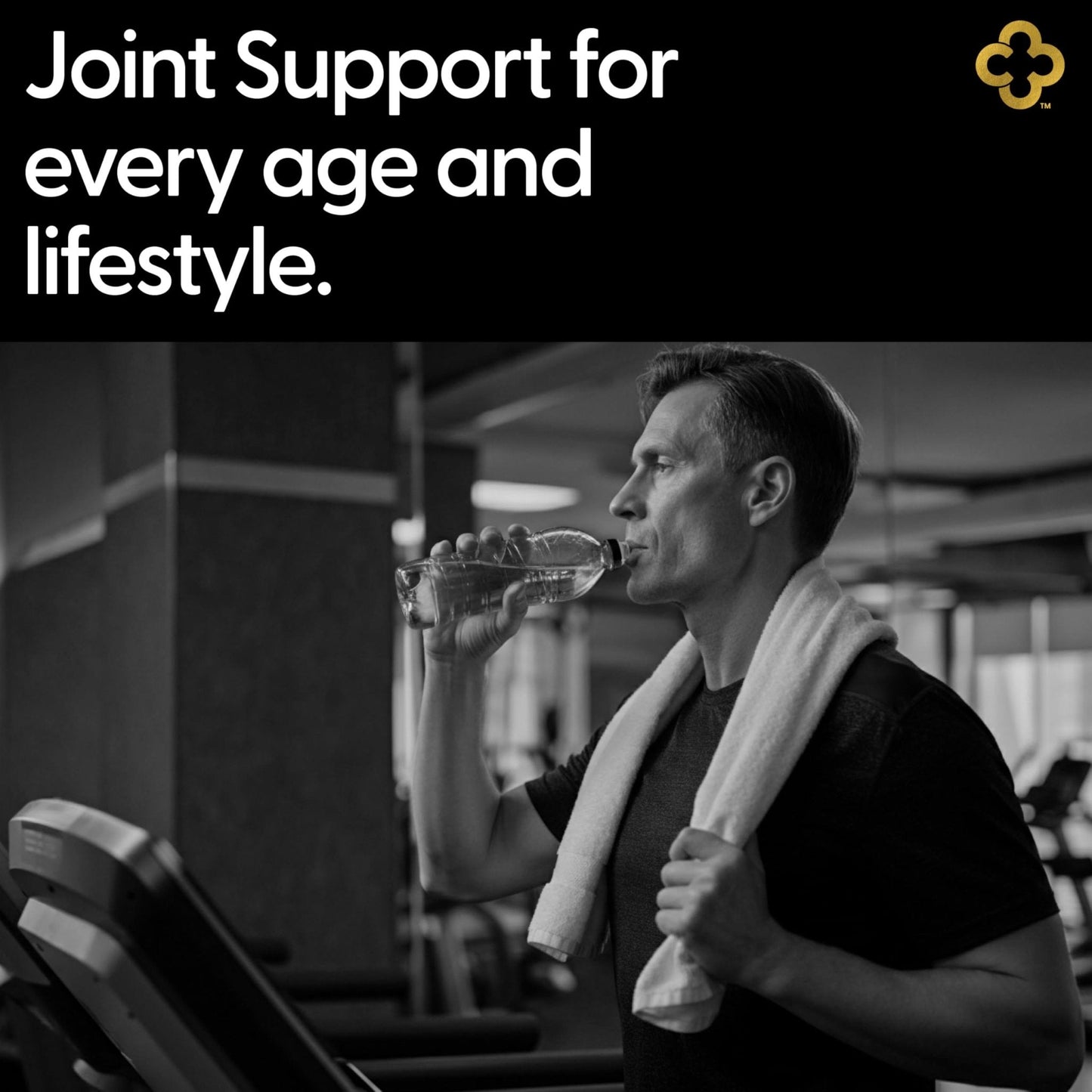 Campio Glucosamine Chondroitin MSM All-in-One Joint Support Supplement Turmeric, Hyaluronic Acid, Boswellia, Ginger Root, Bamboo, BioPerine, Black Pepper, Supports Joint Health & Flexibility 90 Count - Maple Wellness Supplements