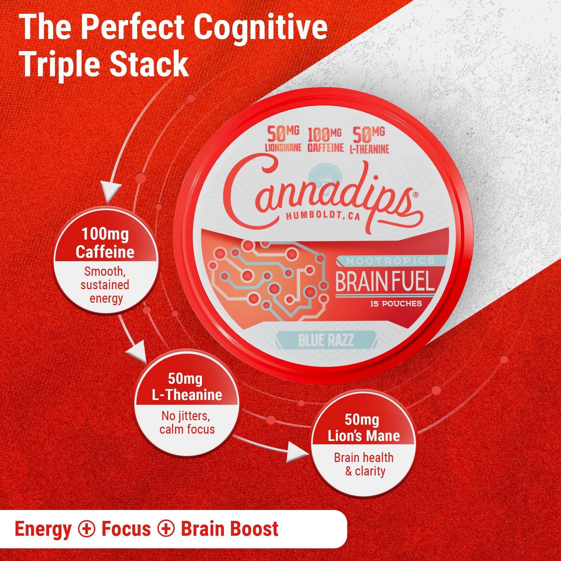 Cannadips - Brain Fuel Variety Pack - Nootropic Caffeine Pouches - 50mg Lion's Mane, 100mg Caffeine, 50mg L-Theanine, No Sugar - Clean Energy Brain Fuel for Cognitive Performance, Made in USA (5-PACK) - Maple Wellness Supplements