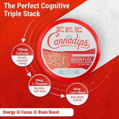 Cannadips - Brain Fuel Variety Pack - Nootropic Caffeine Pouches - 50mg Lion's Mane, 100mg Caffeine, 50mg L-Theanine, No Sugar - Clean Energy Brain Fuel for Cognitive Performance, Made in USA (5-PACK) - Maple Wellness Supplements