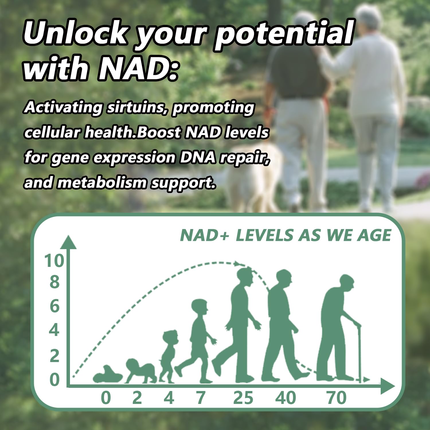 CARE GIFT NAD Supplement, NAD Nicotinamide Riboside Resveratrol 900mg - Liposomal NAD Supplements for Women & Men,NMNH Supplement Alternative for Energy, Focus, Anti-Aging (1 Pack) - Maple Wellness Supplements
