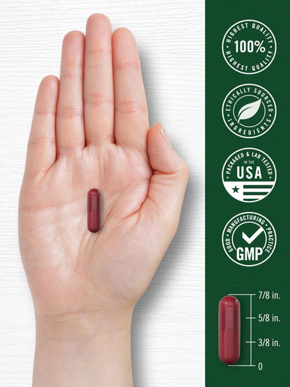 Carlyle Beet Root Capsules | 120 Count | Quick Release Capsules | Non-GMO and Gluten Free Supplement - Maple Wellness Supplements