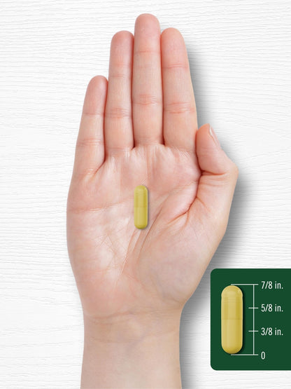 Carlyle Berberine HCL Supplement | 500,000mcg | 60 Capsules | Vegetarian, Non-GMO, Gluten Free - Maple Wellness Supplements