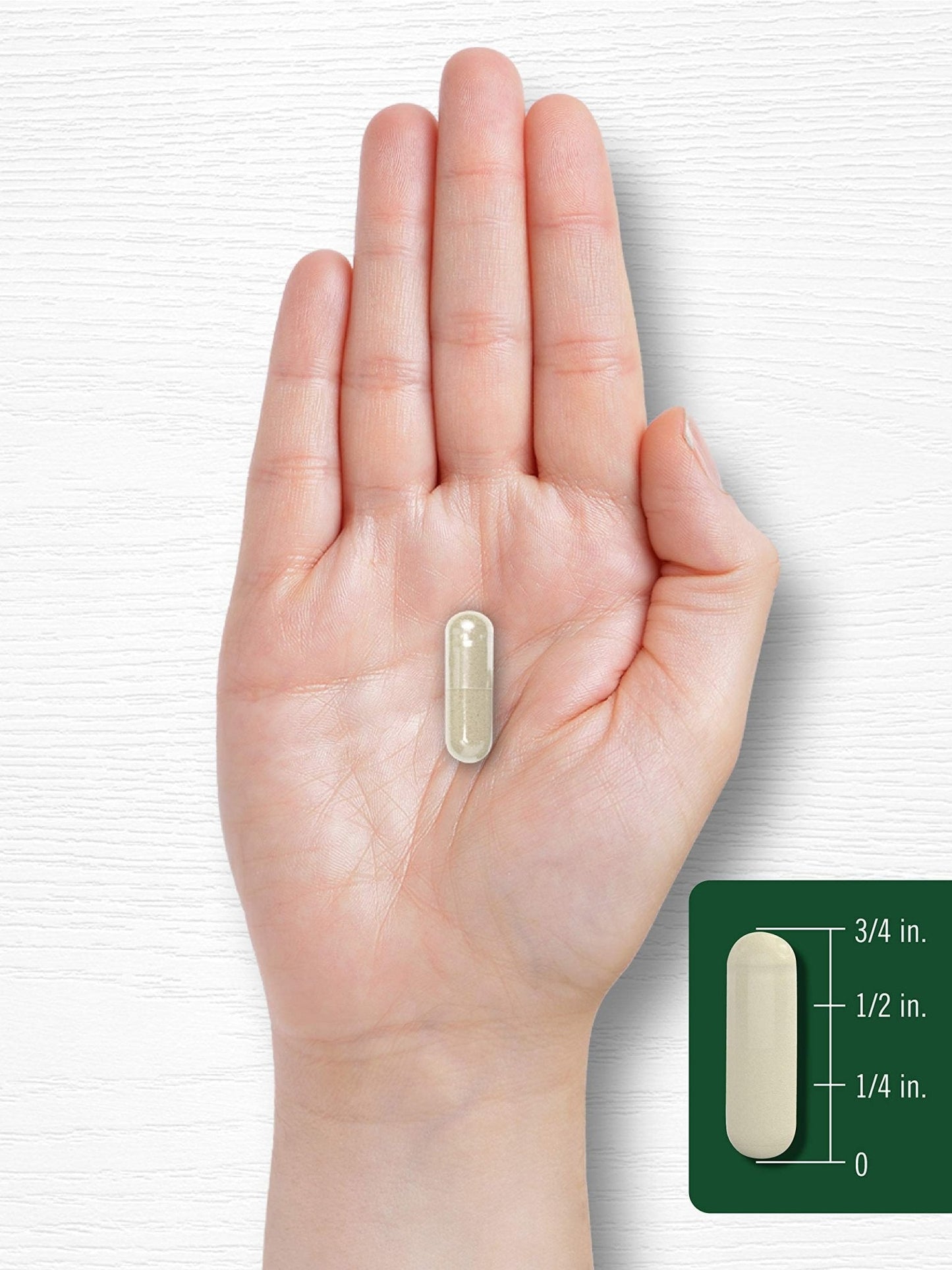 Carlyle Gymnema Sylvestre Capsules | 200 Count | Non-GMO and Gluten Free Supplement - Maple Wellness Supplements