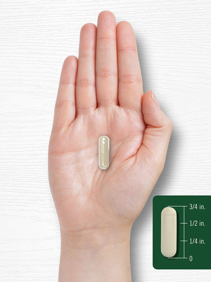 Carlyle Gymnema Sylvestre Capsules | 200 Count | Non-GMO and Gluten Free Supplement - Maple Wellness Supplements