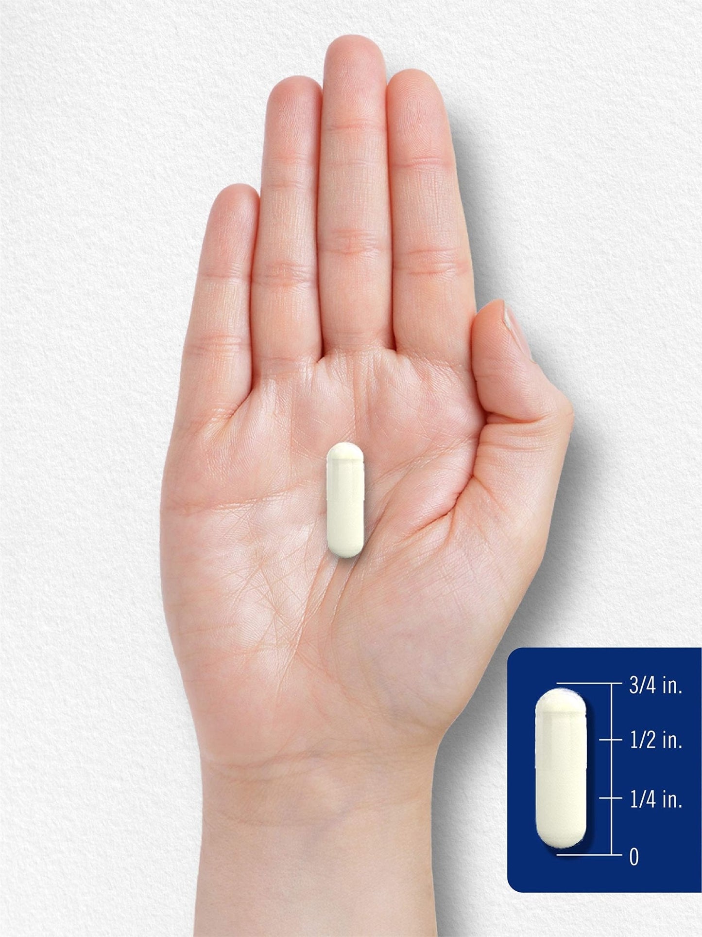 Carlyle L Methylfolate 15mg | 120 Capsules | Value Size | Max Potency | Optimized - Maple Wellness Supplements