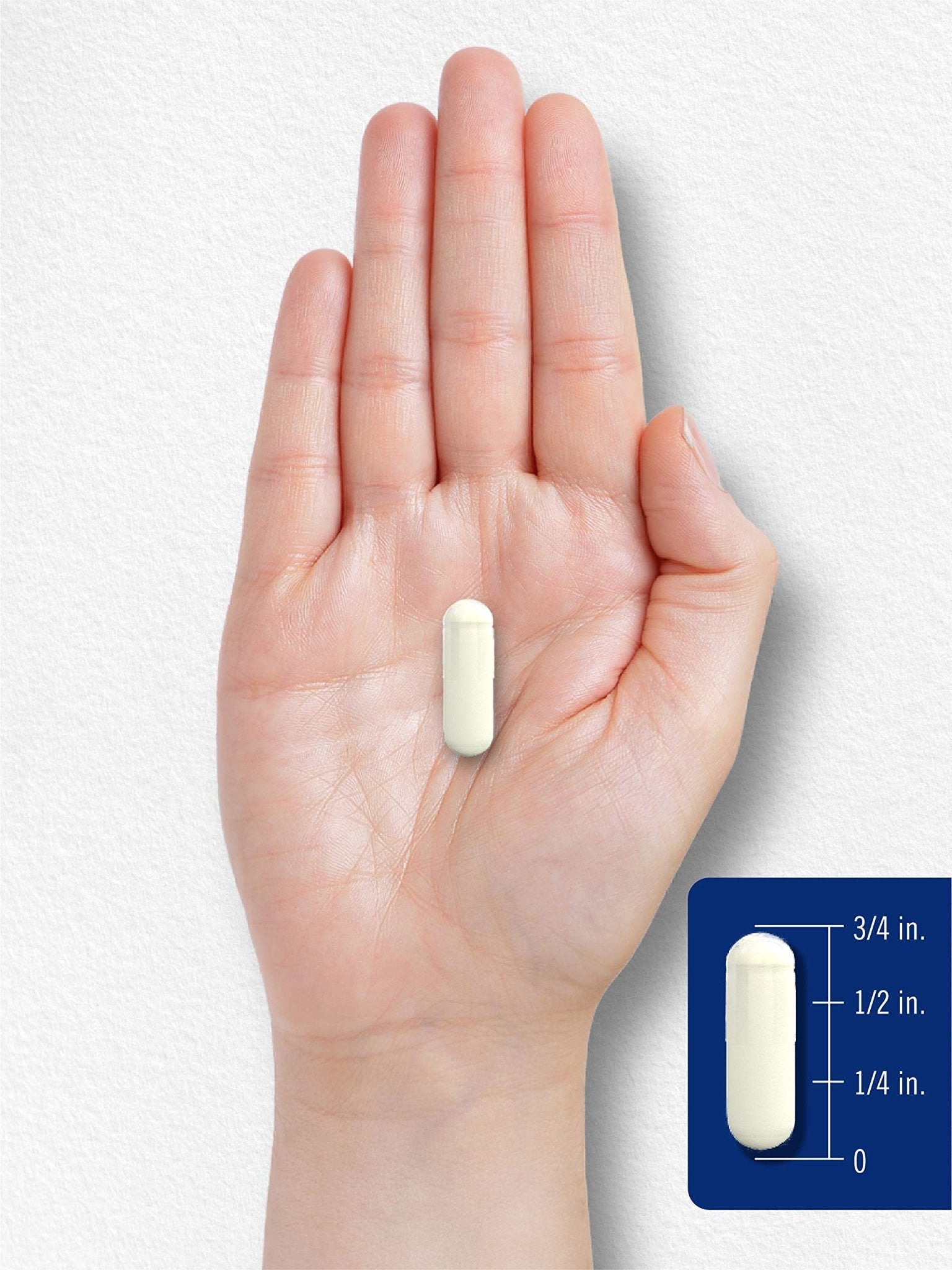 Carlyle L Methylfolate 15mg | 120 Capsules | Value Size | Max Potency | Optimized - Maple Wellness Supplements