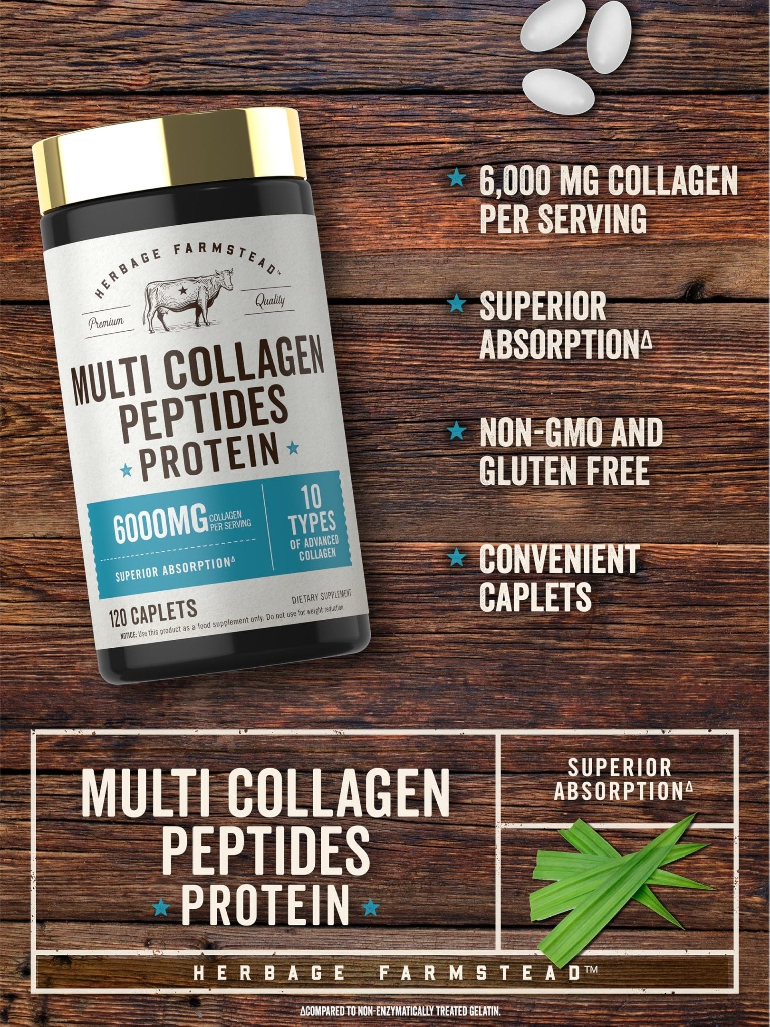 Carlyle Multi Collagen Peptides 6000mg | 120 Caplets | 10 Types of Advanced Collagen with Protein | Non-GMO, Gluten Free Supplement | by Herbage Farmstead - Maple Wellness Supplements