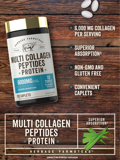 Carlyle Multi Collagen Peptides 6000mg | 120 Caplets | 10 Types of Advanced Collagen with Protein | Non-GMO, Gluten Free Supplement | by Herbage Farmstead - Maple Wellness Supplements