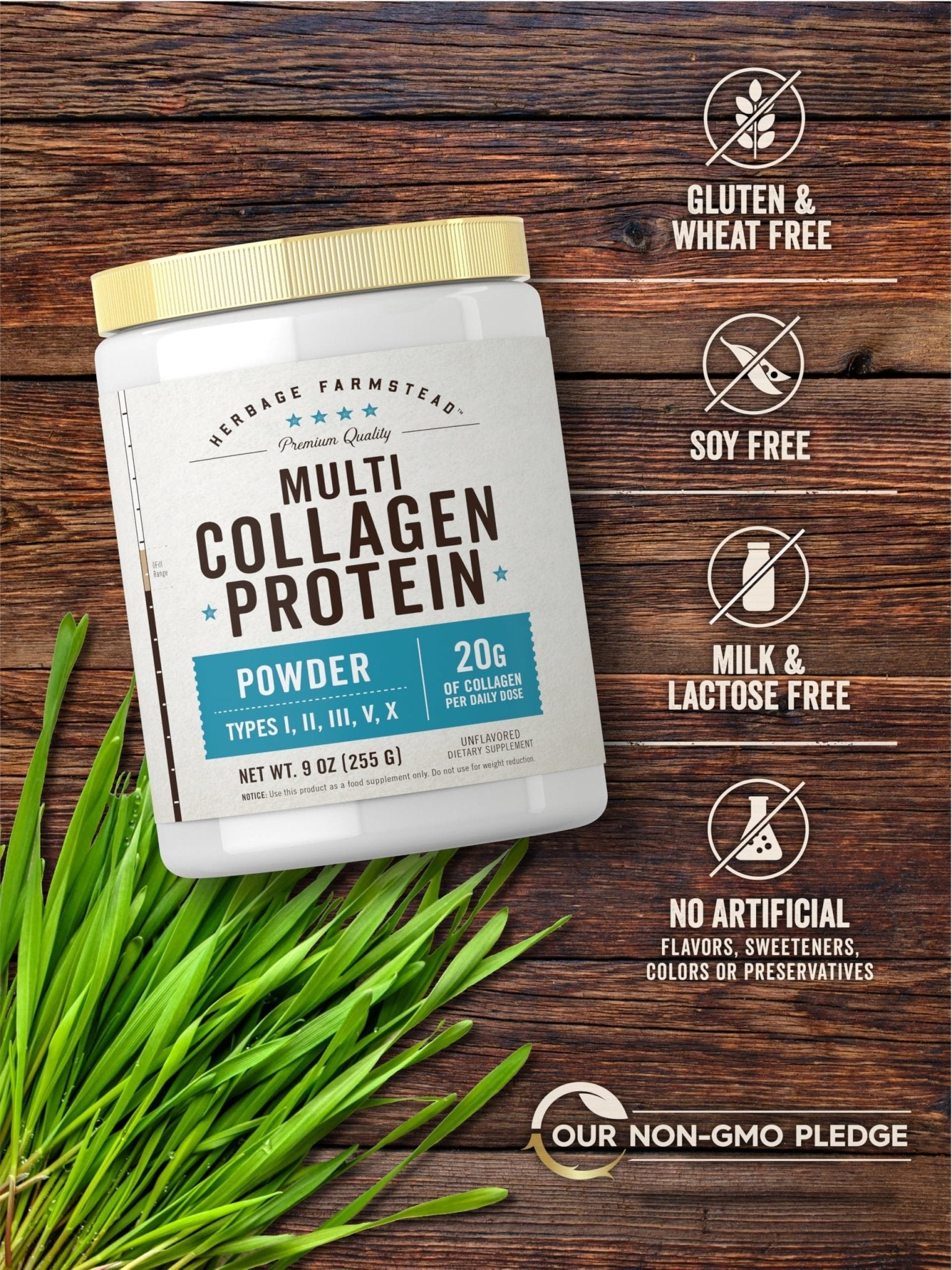 Carlyle Multi Collagen Protein Powder | Type I, II, III, V & X | 9 Oz | Peptides Premium Blend | Unflavored | for Women and Men | Non-GMO and Gluten Free | 25 Servings | by Herbage Farmstead - Maple Wellness Supplements