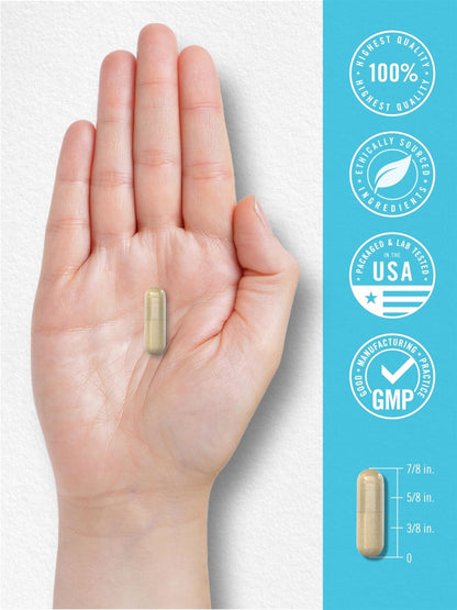 Carlyle NAD+ Supplement for Women & Men | 1000 mg | 60 Capsules | Advanced Complex with Resveratrol and Collagen | Non-GMO & Gluten Free - Maple Wellness Supplements
