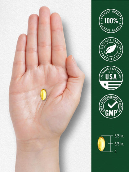 Carlyle Oregano Oil Supplement | 150 Softgel Capsules | Contains Carvacrol | Non-GMO & Gluten Free Formula - Maple Wellness Supplements