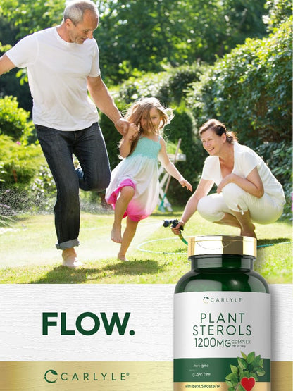 Carlyle Plant Sterols Supplement 1200 mg | 240 Softgels | with Beta Sitosterol | Non-GMO & Gluten Free - Maple Wellness Supplements